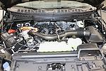 2025 Ford F-150 SuperCrew Cab 4WD Pickup for sale #251668 - photo 38