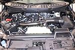 2026 Ford F-150 SuperCrew Cab 4WD Pickup for sale #260409 - photo 43