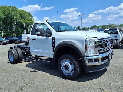 New 2025 Ford F-550 - photo 1