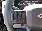 New 2025 Ford F-600 Regular Cab Cab Chassis for sale #254464 - photo 16