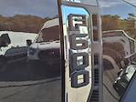 New 2025 Ford F-600 Regular Cab Cab Chassis for sale #254464 - photo 9