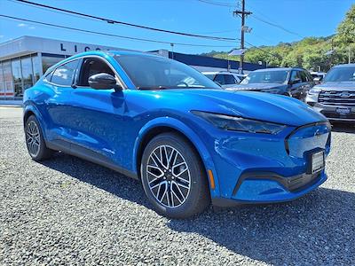 New 2025 Ford Mustang Mach-E - photo 1