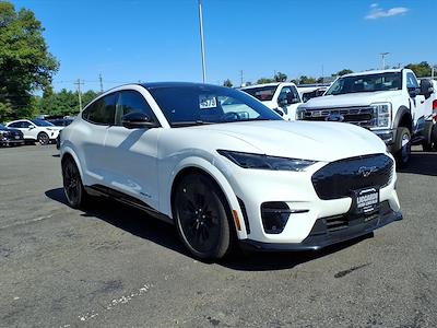 New 2025 Ford Mustang Mach-E - photo 1