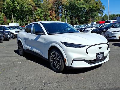 New 2025 Ford Mustang Mach-E - photo 1