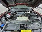 2023 Ford F-150 SuperCrew Cab 4WD Pickup for sale #PFA04309 - photo 29