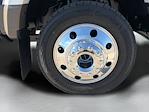 2026 Ford F-450 Crew Cab DRW 4WD Pickup for sale #BY4283 - photo 9