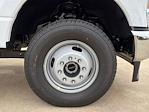 2026 Ford F-350 Regular Cab DRW 4WD Cab Chassis for sale #TED04273 - photo 9