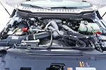 New 2025 Ford F-600 Regular Cab Cab Chassis for sale #SDA07348 - photo 35