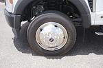 New 2025 Ford F-450 Regular Cab Cab Chassis for sale #SDA10813 - photo 12