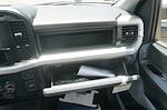 New 2025 Ford F-450 Regular Cab Cab Chassis for sale #SDA10813 - photo 26