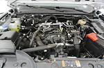 New 2025 Ford Ranger XLT SuperCrew Cab for sale #SLE54717 - photo 44