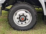 New 2026 Ford F-650 Regular Cab Cab Chassis for sale #T66378 - photo 10