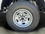 New 2026 Ford F-250 Regular Cab Service Truck for sale #TED55434 - photo 19