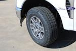 New 2025 Ford F-250 XLT Regular Cab for sale #SEE11793 - photo 5
