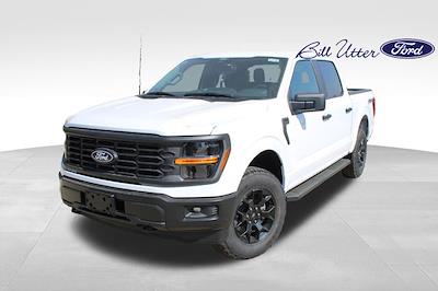 New 2025 Ford F-150 - photo 1