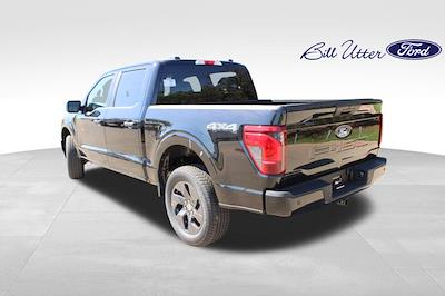 New 2025 Ford F-150 - photo 1