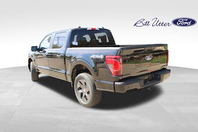 New 2025 Ford F-150 - photo 1