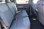 New 2025 Ford F-150 STX SuperCrew Cab for sale #SKF38452 - photo 8