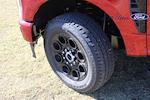 New 2026 Ford F-250 XLT Crew Cab for sale #TED04647 - photo 5