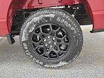 2024 Ford F-150 SuperCrew Cab 4x4 Pickup for sale #P3824 - photo 5