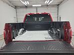 2024 Ford F-150 SuperCrew Cab 4x4 Pickup for sale #P3824 - photo 8