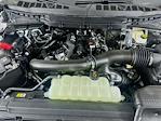 New 2026 Ford F-150 Platinum SuperCrew Cab for sale #5A49111 - photo 31