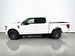 New 2026 Ford F-150 Tremor SuperCrew Cab for sale #5A88086 - photo 3