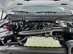 New 2026 Ford F-150 Platinum SuperCrew Cab for sale #5A91005 - photo 30