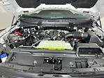 New 2026 Ford F-150 XLT SuperCrew Cab for sale #5A93250 - photo 25