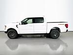 New 2026 Ford F-150 Tremor SuperCrew Cab for sale #5B01871 - photo 3