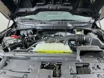 New 2026 Ford F-150 STX SuperCrew Cab for sale #5D32677 - photo 26