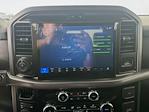 New 2026 Ford F-150 XLT SuperCrew Cab for sale #5D65090 - photo 14