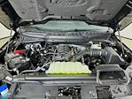 New 2026 Ford F-150 XLT SuperCrew Cab for sale #5D72954 - photo 29