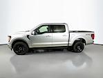 New 2026 Ford F-150 XLT SuperCrew Cab for sale #5D76812 - photo 3