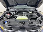 New 2026 Ford F-150 XLT SuperCrew Cab for sale #5D95516 - photo 29