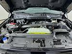 New 2026 Ford F-150 XLT SuperCrew Cab for sale #5D98468 - photo 29