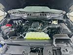 New 2026 Ford F-150 XLT SuperCrew Cab for sale #5D98470 - photo 26