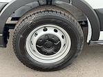New 2026 Ford Transit 150 Low Roof Empty Cargo Van for sale #260120 - photo 7