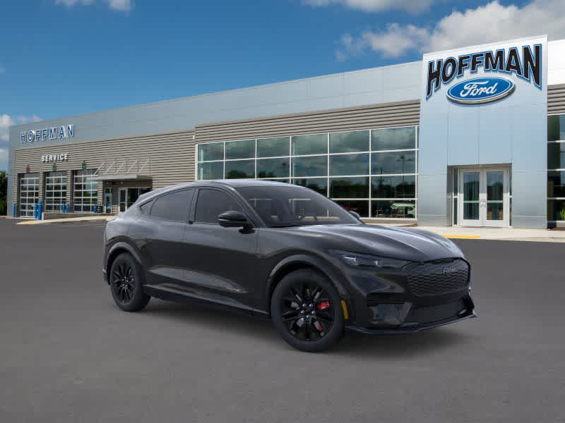 New 2025 Ford Mustang Mach-E - photo 1