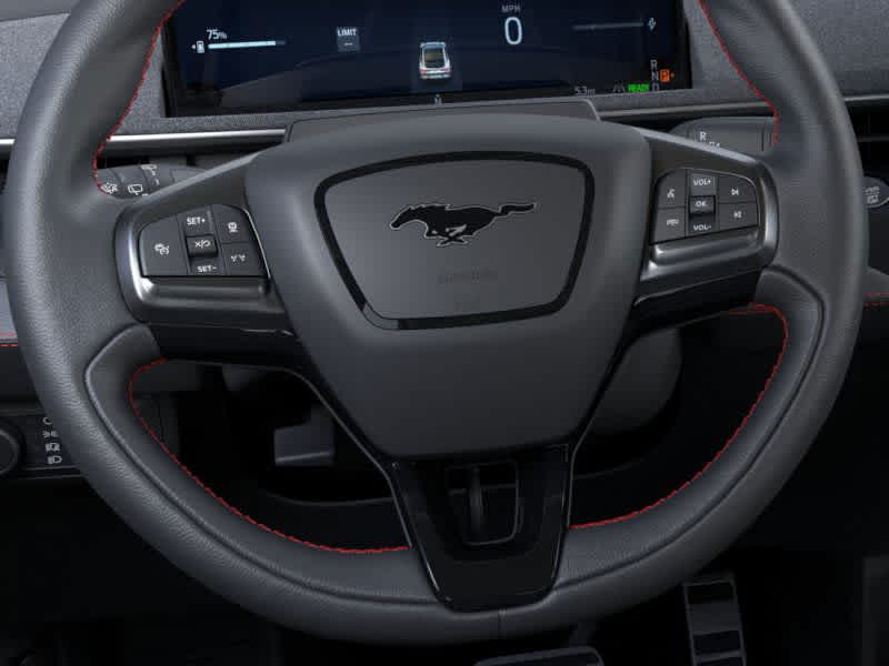 New 2025 Ford Mustang Mach-E - photo 14