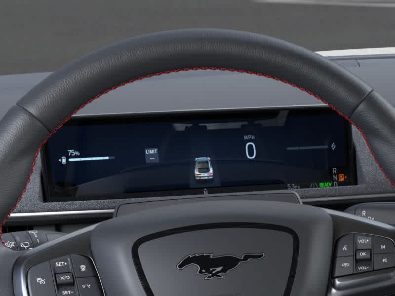 New 2025 Ford Mustang Mach-E - photo 15