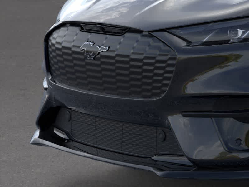 New 2025 Ford Mustang Mach-E - photo 19