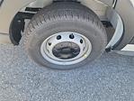 New 2026 Ford Transit 250 Low Roof Empty Cargo Van for sale #A24155 - photo 10