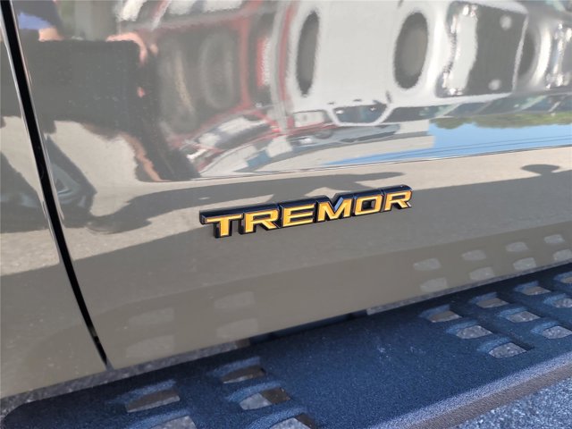 New 2025 Ford Expedition - photo 15