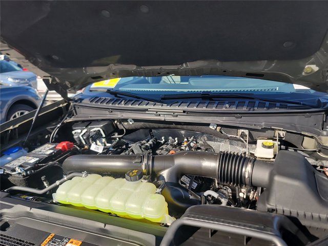 New 2025 Ford Expedition - photo 35