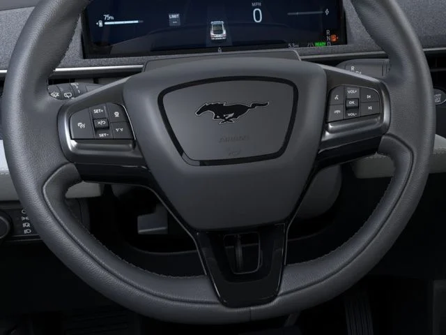 New 2026 Ford Mustang Mach-E - photo 13
