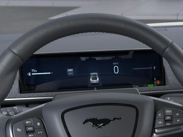 New 2026 Ford Mustang Mach-E - photo 14