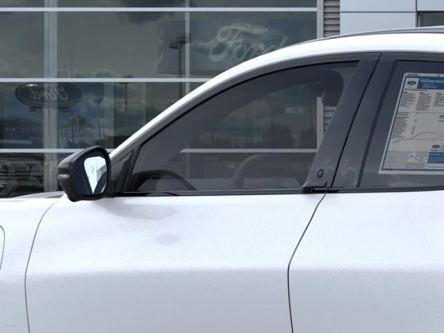 New 2026 Ford Mustang Mach-E - photo 21