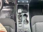 New 2026 Ford Ranger XLT SuperCrew Cab for sale #13214 - photo 15