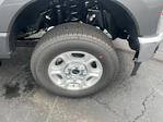 New 2026 Ford F-250 XLT Regular Cab for sale #13242 - photo 3